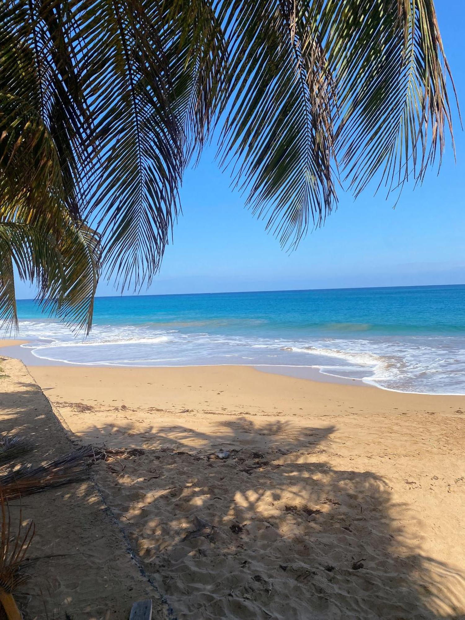 Auberge K-Wan Hostel - Proche Plages ديساي المظهر الخارجي الصورة